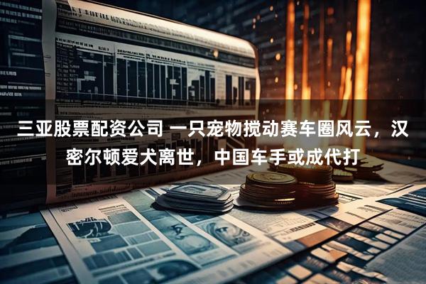 三亚股票配资公司 一只宠物搅动赛车圈风云，汉密尔顿爱犬离世，中国车手或成代打